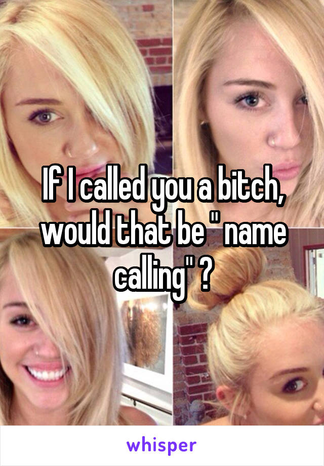 If I called you a bitch, would that be " name calling" ?