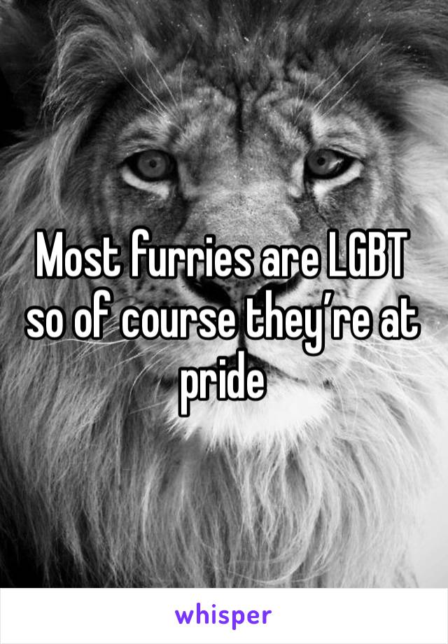 Most furries are LGBT so of course they’re at pride