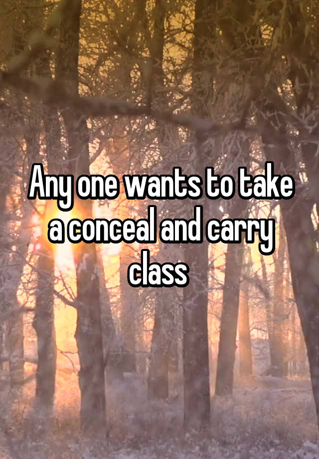 Any one wants to take a conceal and carry class 