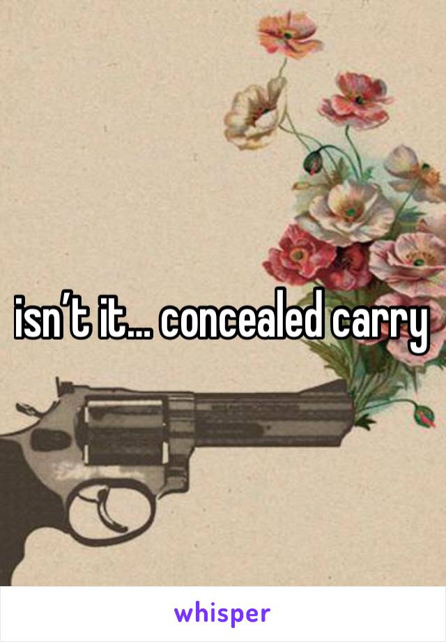 isn’t it… concealed carry 