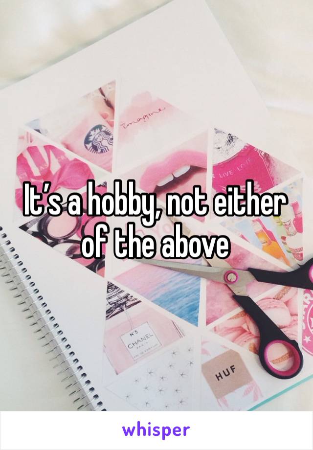 It’s a hobby, not either of the above 