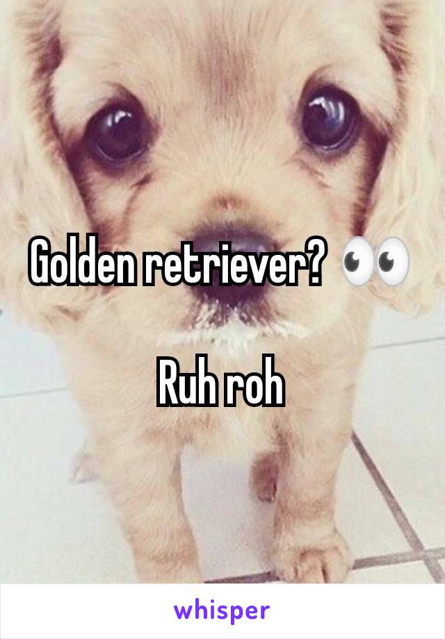 Golden retriever? 👀

Ruh roh