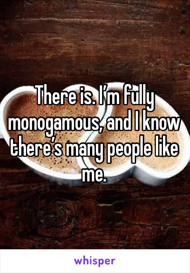 There is. I’m fully monogamous, and I know there’s many people like me. 