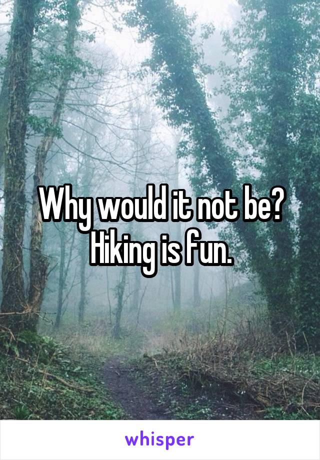 Why would it not be? Hiking is fun.