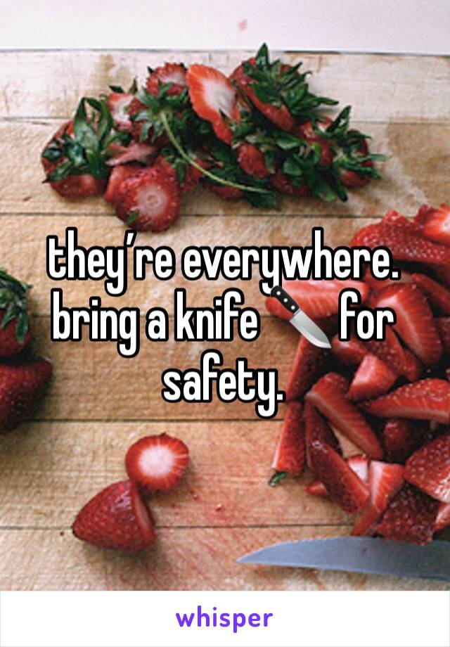 they’re everywhere. bring a knife 🔪 for safety. 