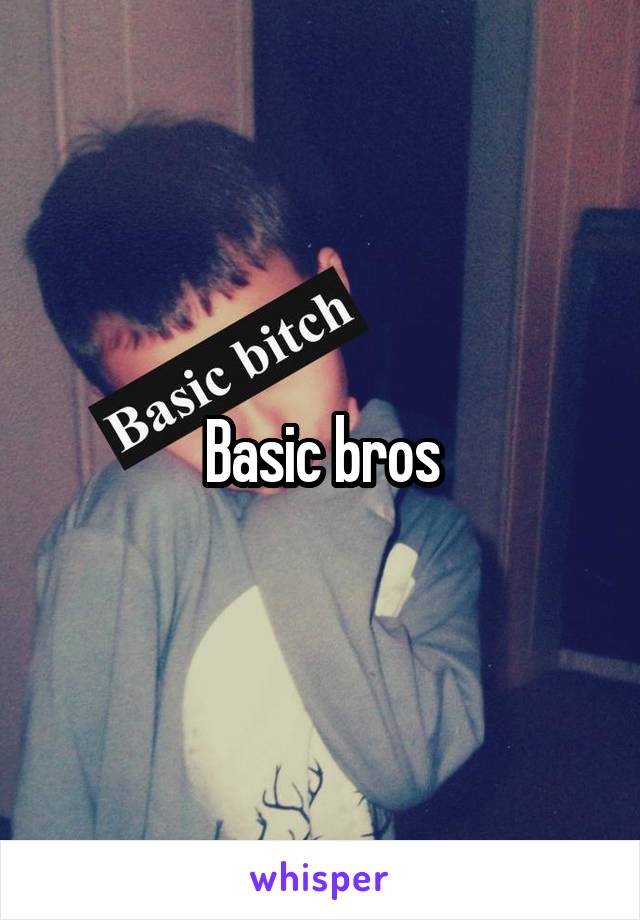 Basic bros