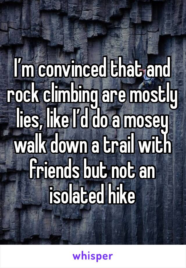 I’m convinced that and rock climbing are mostly lies, like I’d do a mosey walk down a trail with friends but not an isolated hike 