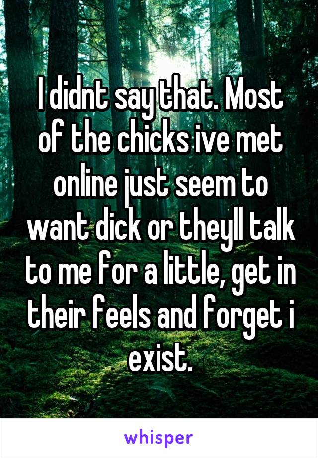 I didnt say that. Most of the chicks ive met online just seem to want dick or theyll talk to me for a little, get in their feels and forget i exist.