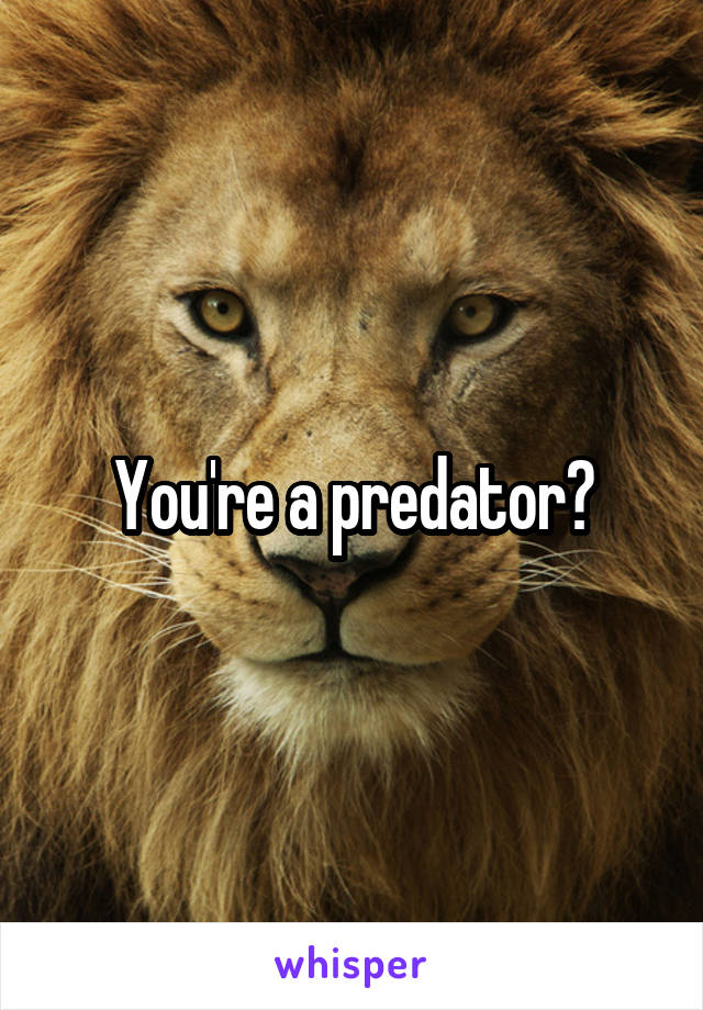 You're a predator?