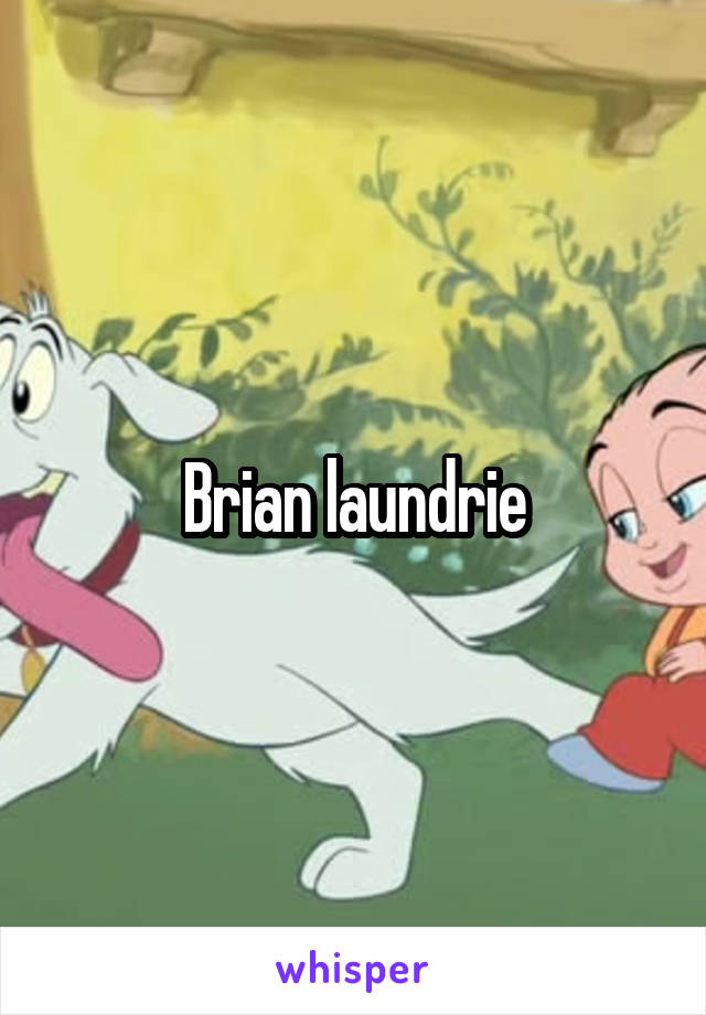 Brian laundrie