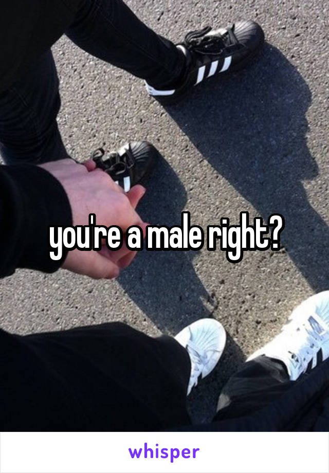 you're a male right?