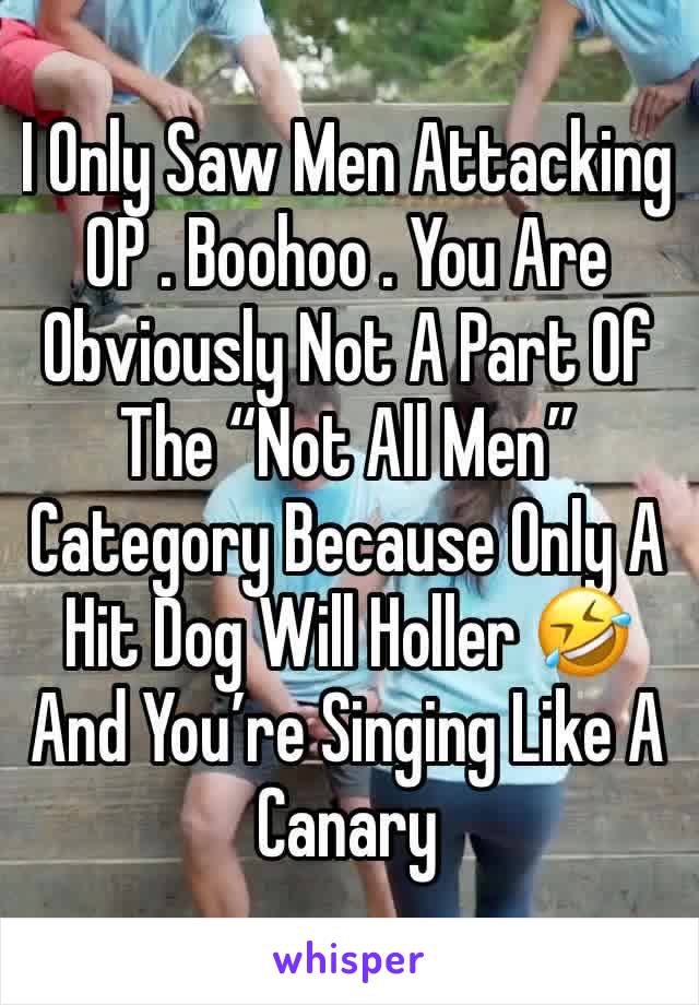 I Only Saw Men Attacking OP . Boohoo . You Are Obviously Not A Part Of The “Not All Men” Category Because Only A Hit Dog Will Holler 🤣 And You’re Singing Like A Canary