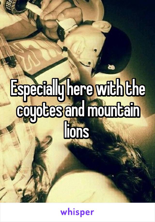 Especially here with the coyotes and mountain lions 