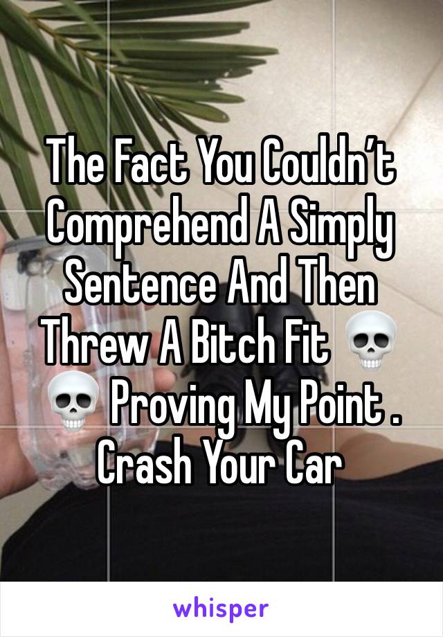 The Fact You Couldn’t Comprehend A Simply Sentence And Then Threw A Bitch Fit 💀💀 Proving My Point . Crash Your Car