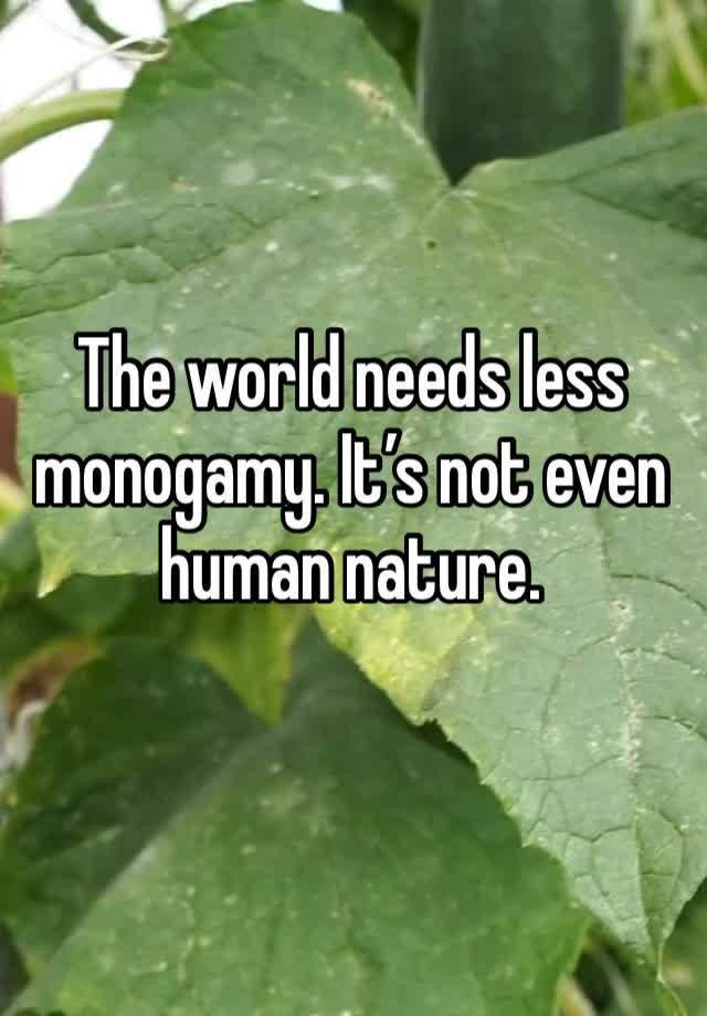 The world needs less monogamy. It’s not even human nature.