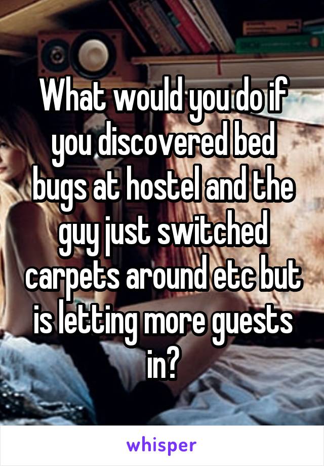 What would you do if you discovered bed bugs at hostel and the guy just switched carpets around etc but is letting more guests in?