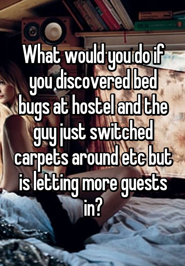 What would you do if you discovered bed bugs at hostel and the guy just switched carpets around etc but is letting more guests in?