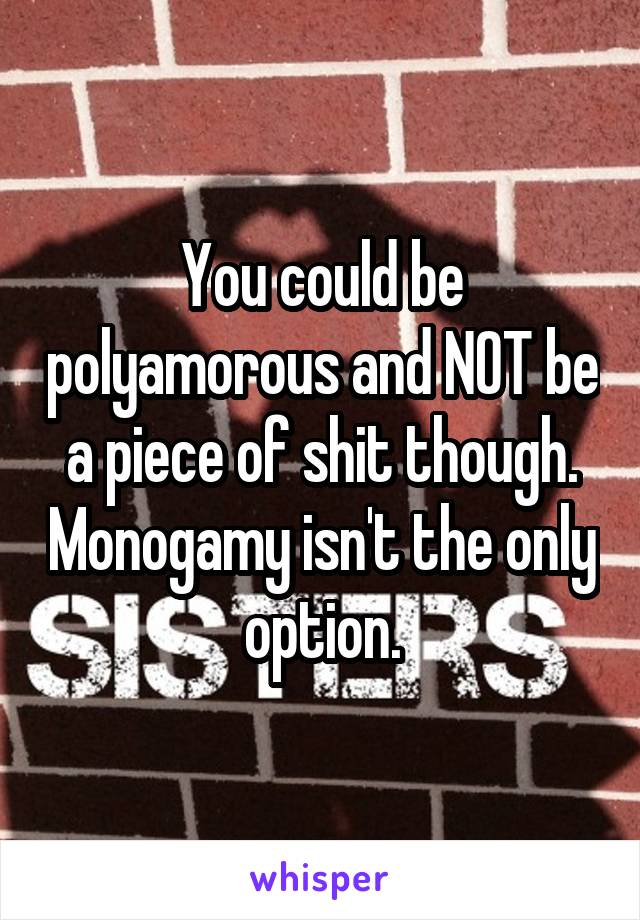 You could be polyamorous and NOT be a piece of shit though. Monogamy isn't the only option.