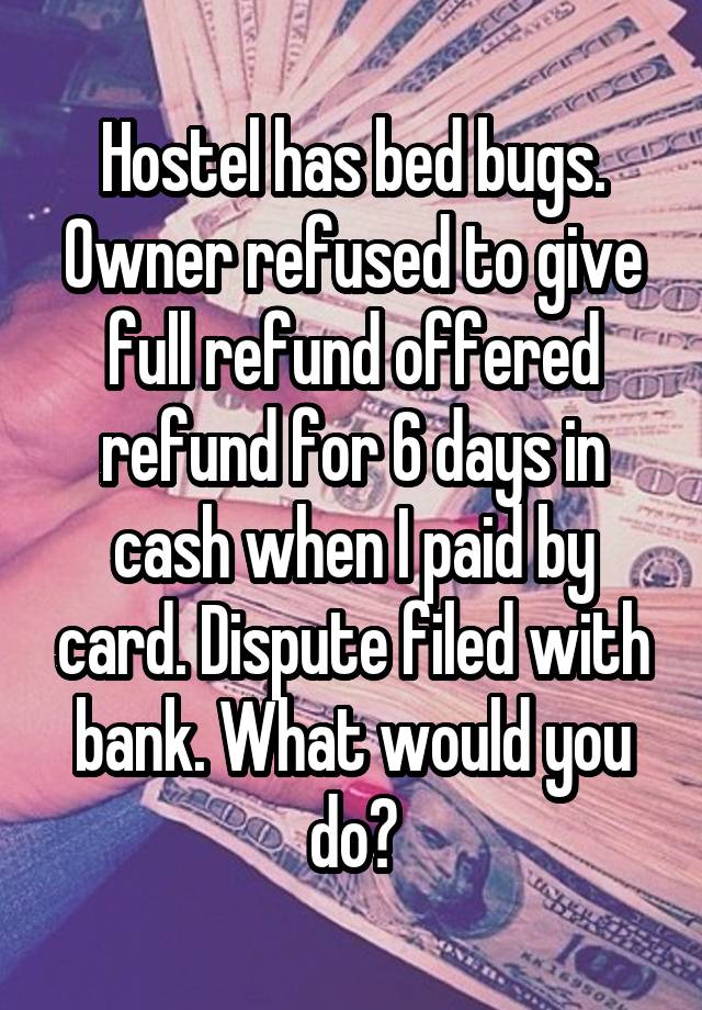 Hostel has bed bugs. Owner refused to give full refund offered refund for 6 days in cash when I paid by card. Dispute filed with bank. What would you do?