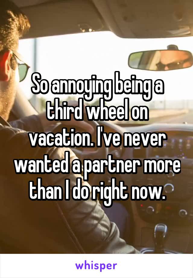 So annoying being a third wheel on vacation. I've never wanted a partner more than I do right now.