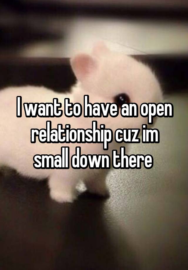 I want to have an open relationship cuz im small down there 