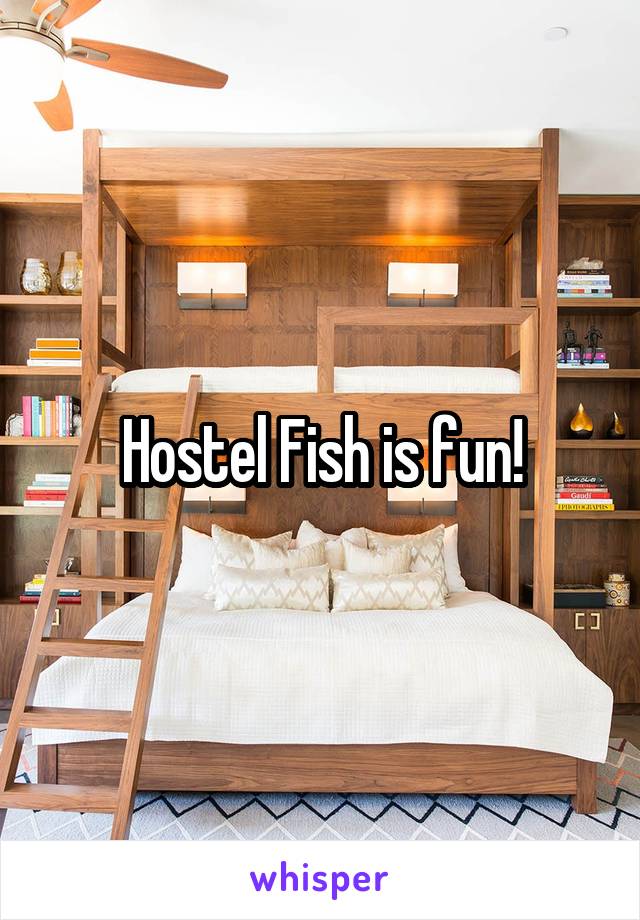 Hostel Fish is fun!