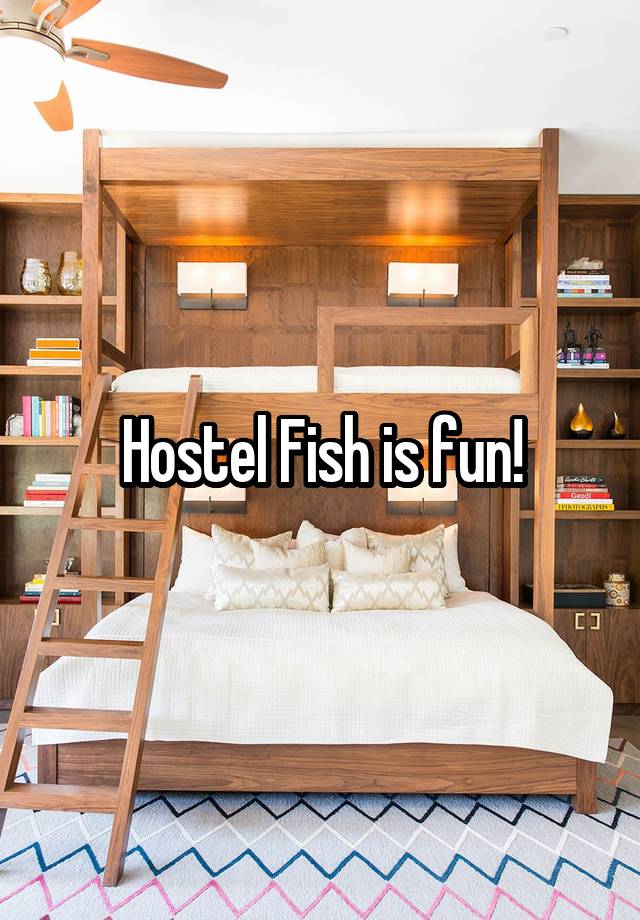 Hostel Fish is fun!