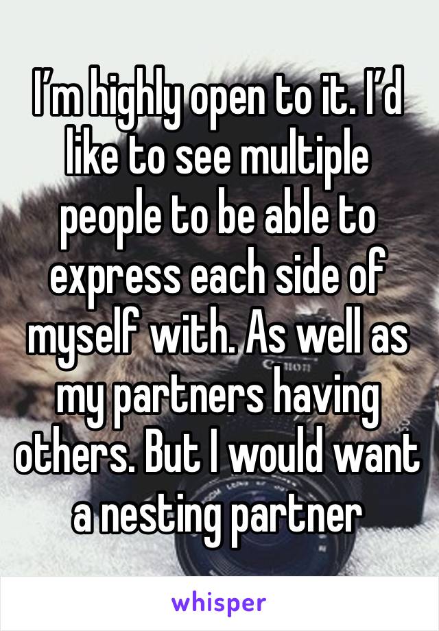 I’m highly open to it. I’d like to see multiple people to be able to express each side of myself with. As well as my partners having others. But I would want a nesting partner 