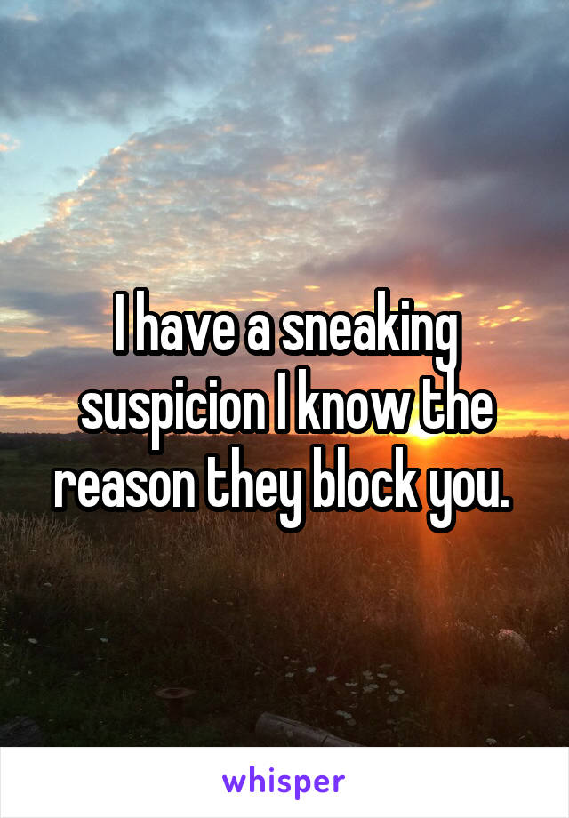 I have a sneaking suspicion I know the reason they block you. 