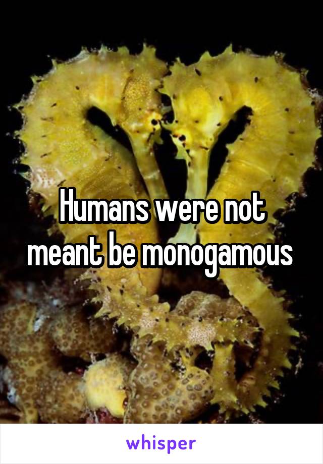 Humans were not meant be monogamous 