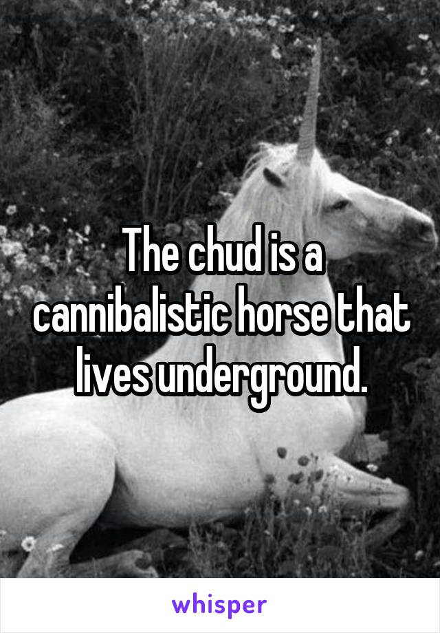 The chud is a cannibalistic horse that lives underground.