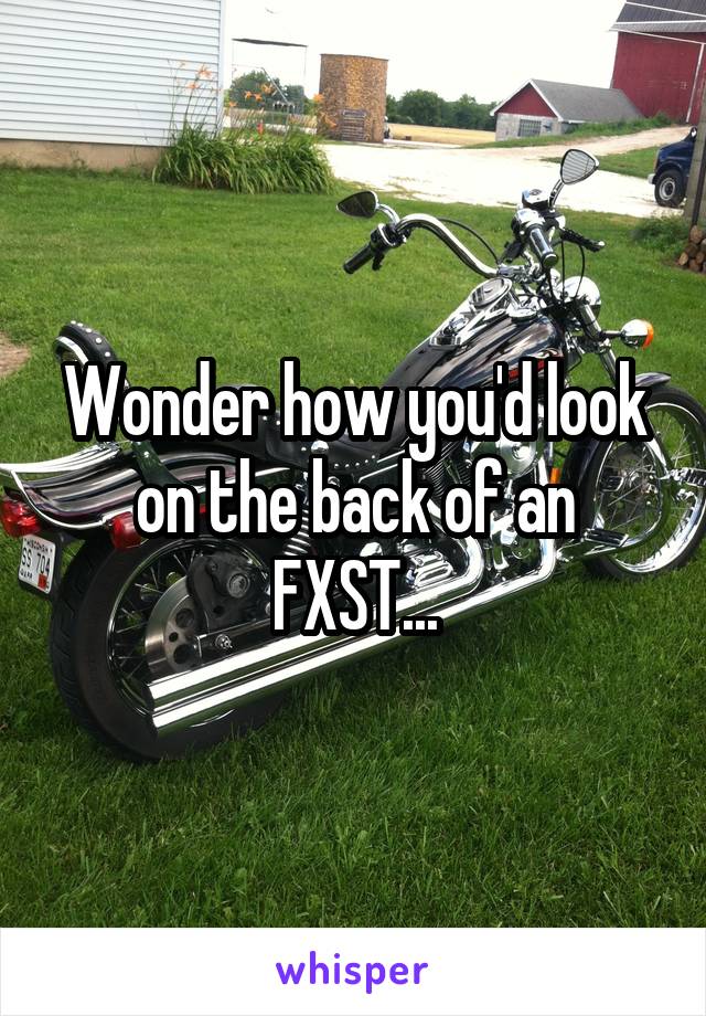 Wonder how you'd look on the back of an FXST...