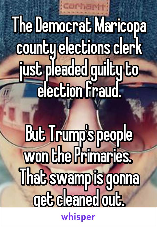 The Democrat Maricopa county elections clerk just pleaded guilty to election fraud.

But Trump's people won the Primaries.  That swamp is gonna get cleaned out.