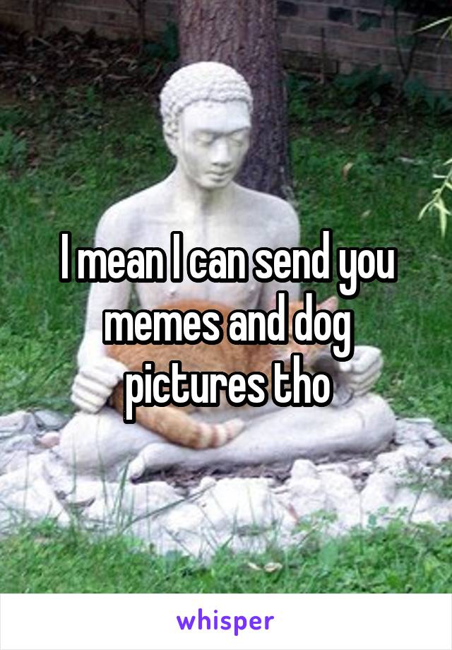 I mean I can send you memes and dog pictures tho