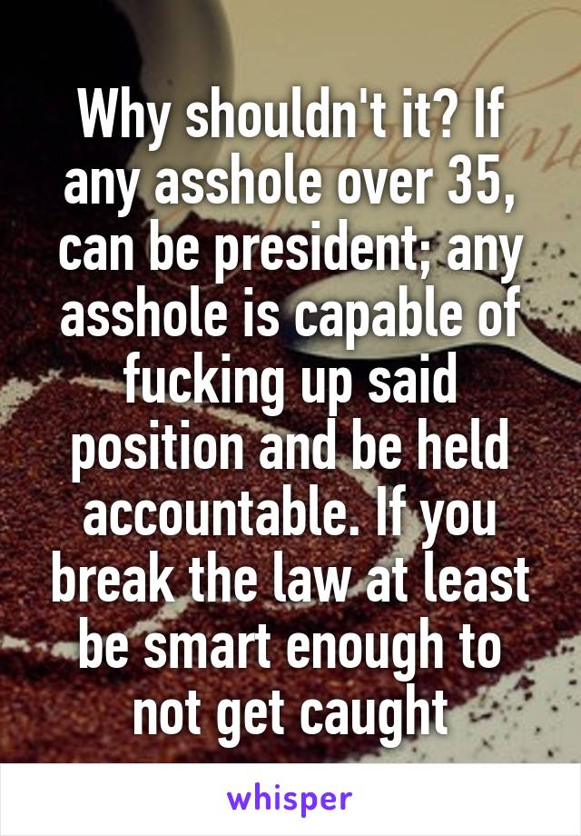 Why shouldn't it? If any asshole over 35, can be president; any asshole is capable of fucking up said position and be held accountable. If you break the law at least be smart enough to not get caught