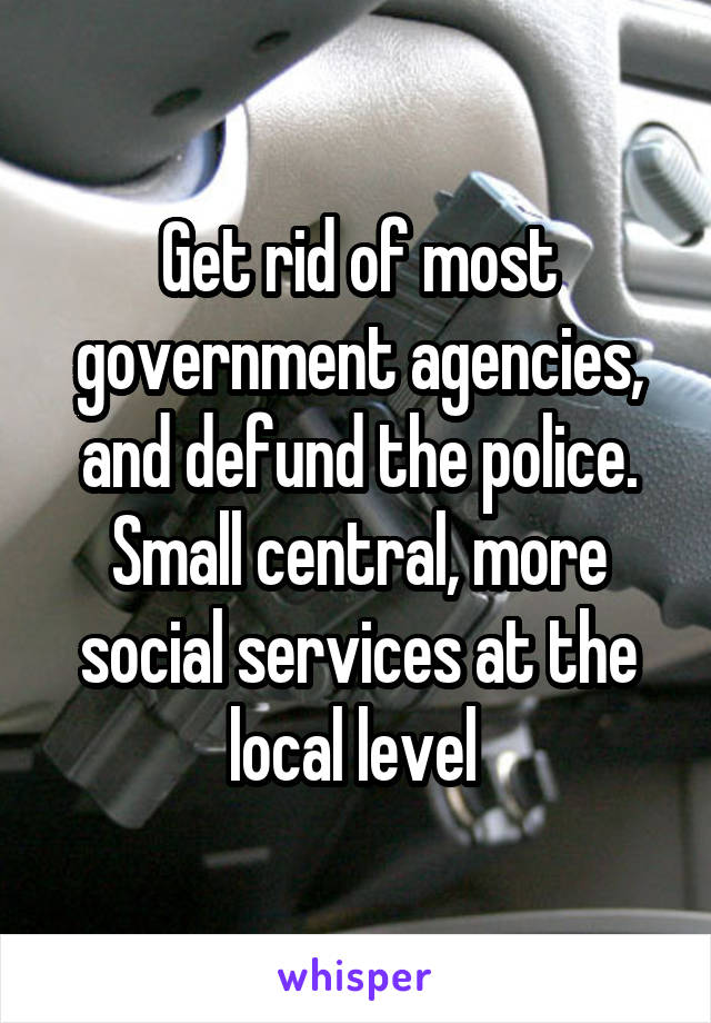 Get rid of most government agencies, and defund the police. Small central, more social services at the local level 