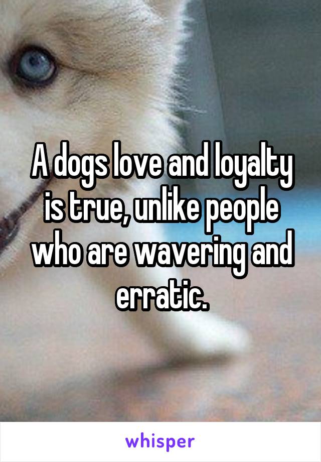 A dogs love and loyalty is true, unlike people who are wavering and erratic.