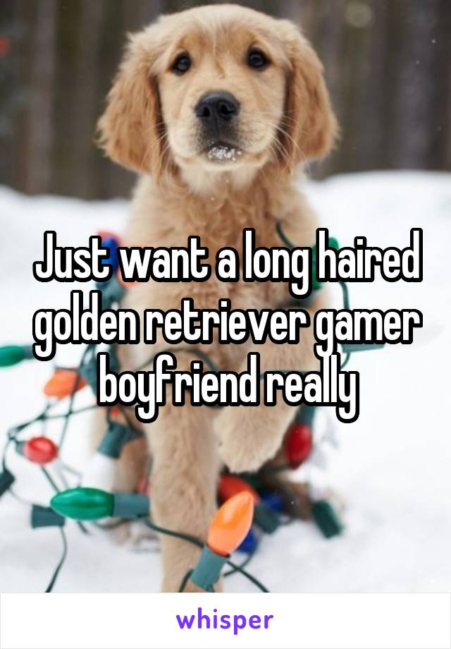 Just want a long haired golden retriever gamer boyfriend really