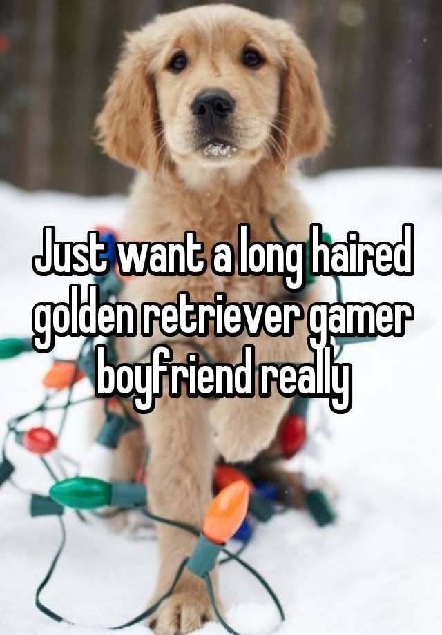 Just want a long haired golden retriever gamer boyfriend really