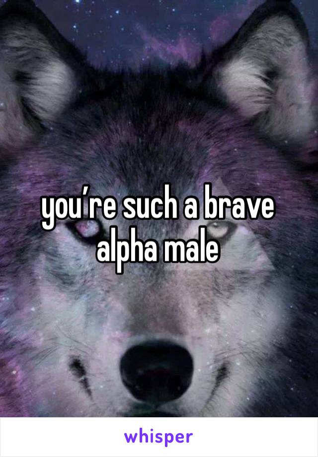 you’re such a brave alpha male