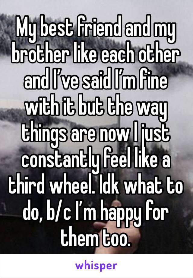 My best friend and my brother like each other and I’ve said I’m fine with it but the way things are now I just constantly feel like a third wheel. Idk what to do, b/c I’m happy for them too. 