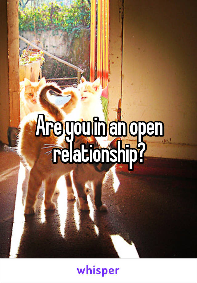 Are you in an open relationship?
