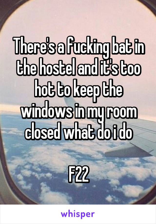 There's a fucking bat in the hostel and it's too hot to keep the windows in my room closed what do i do

F22