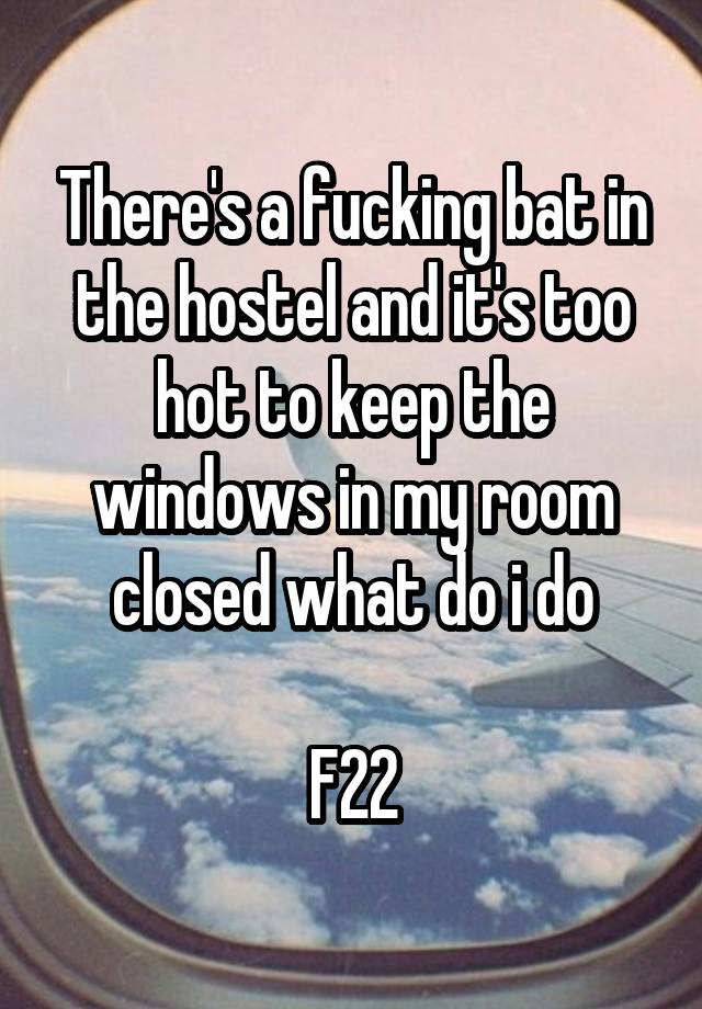 There's a fucking bat in the hostel and it's too hot to keep the windows in my room closed what do i do

F22