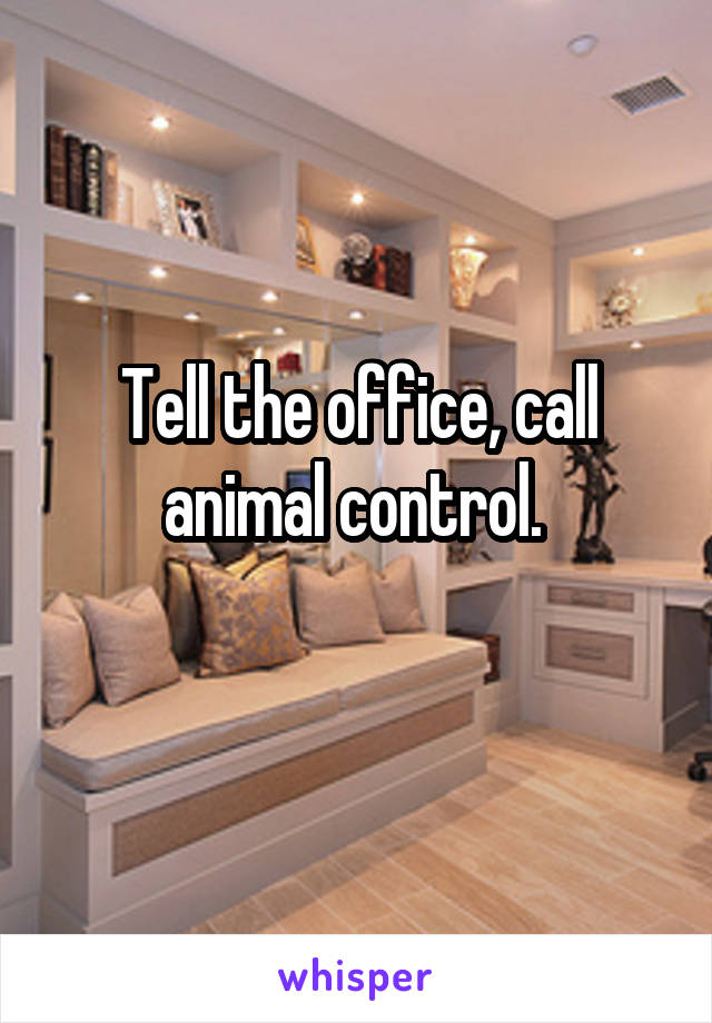 Tell the office, call animal control. 
