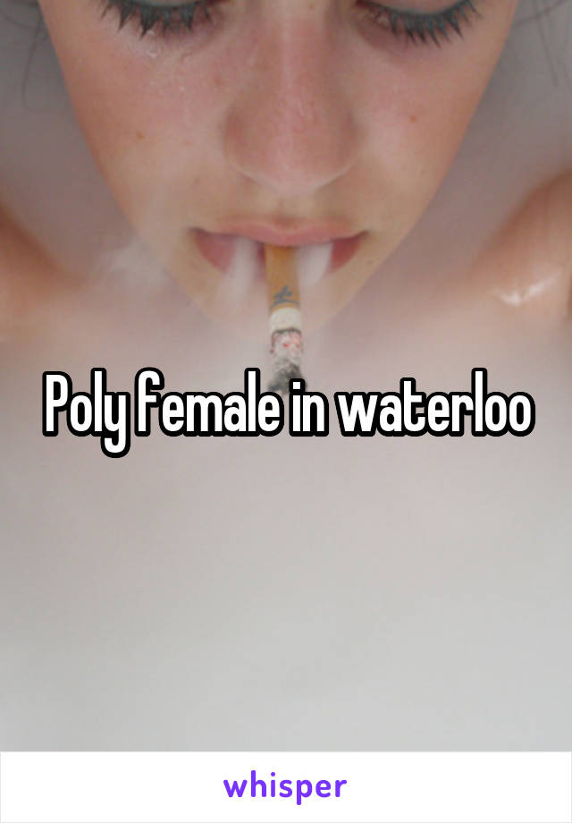 Poly female in waterloo