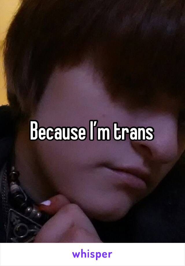 Because I’m trans