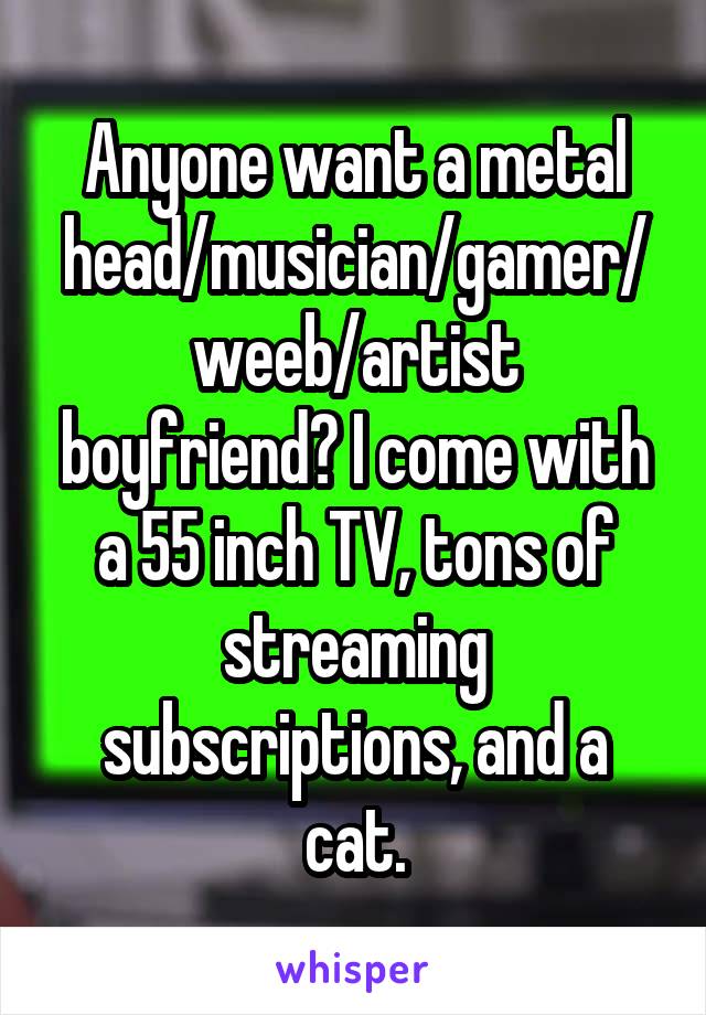 Anyone want a metal head/musician/gamer/weeb/artist boyfriend? I come with a 55 inch TV, tons of streaming subscriptions, and a cat.