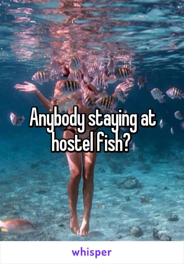 Anybody staying at hostel fish? 