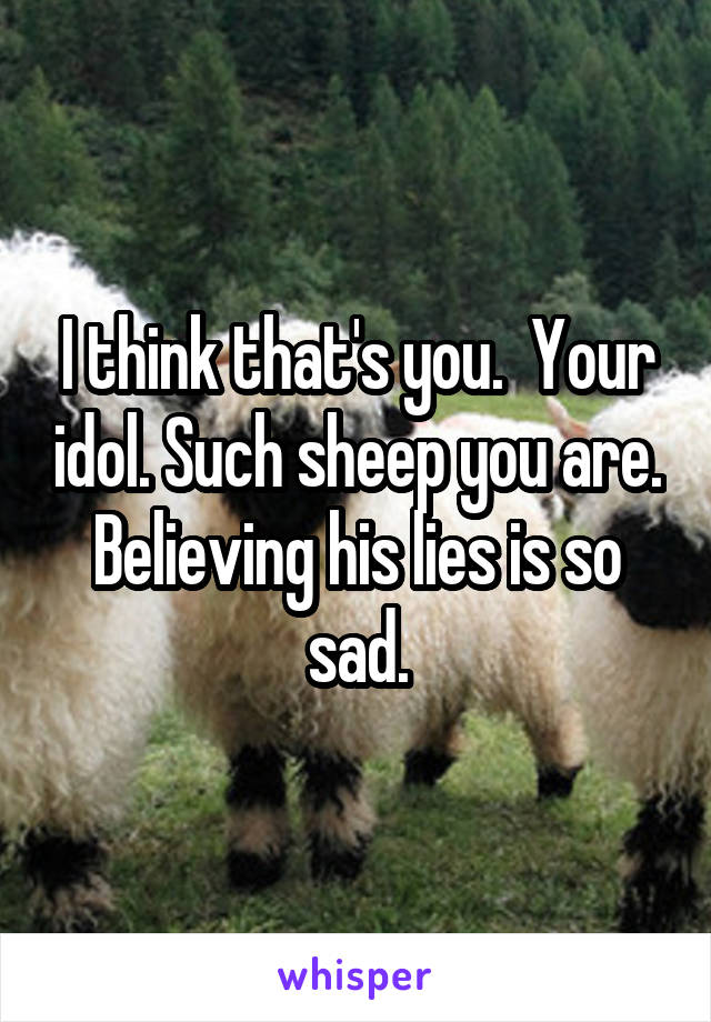 I think that's you.  Your idol. Such sheep you are. Believing his lies is so sad.